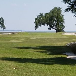 Meet your Posher, Devon